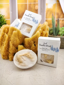 Iced Vanilla Woods goats milk sea sponge soap