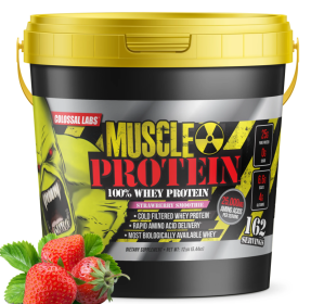 Monter Protein- 12 LB (Peanut Butter Chocolate)