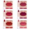 15 Color Womens Matte Moisturizing Waterproof  Matte Lip Gloss(15PCS)